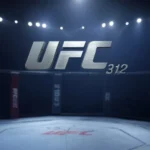 UFC312